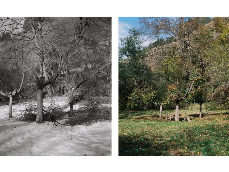 Зима, весна, лето, осень и снова зима