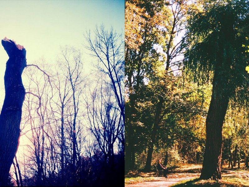 Зима, весна, лето, осень и снова зима