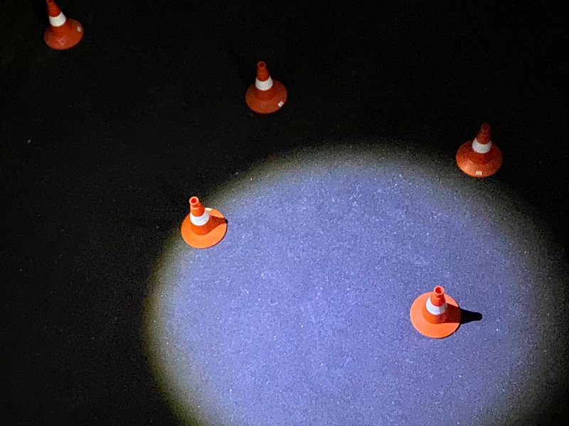 У нас отобрали джунгли