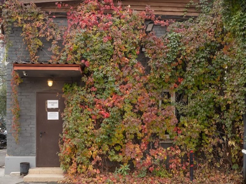 Тело «Фабрики»: open call